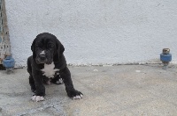 MURPHY